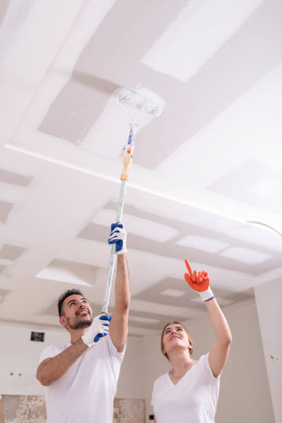 Best Industrial Mold Remediation  in Barbourville, KY